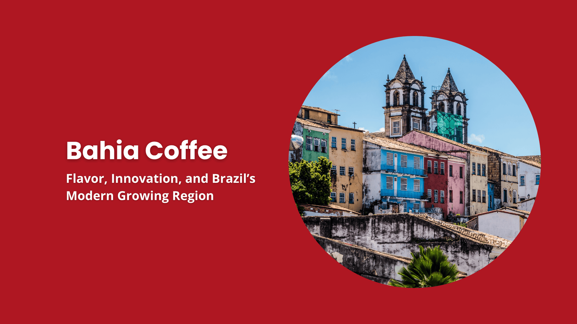 Bahia coffee region Brazil colorful colonial town landscape coffee growing region
