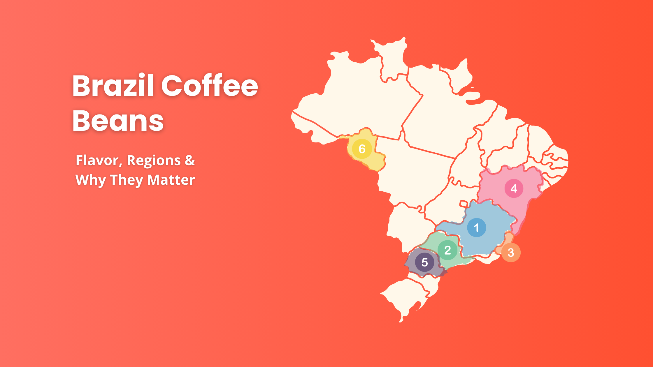 Brazil coffee regions map showing Minas Gerais, São Paulo, Espírito Santo, Bahia, Paraná, and Rondônia. Highlights flavor profiles, elevations, and why Brazil is the world’s top coffee producer.