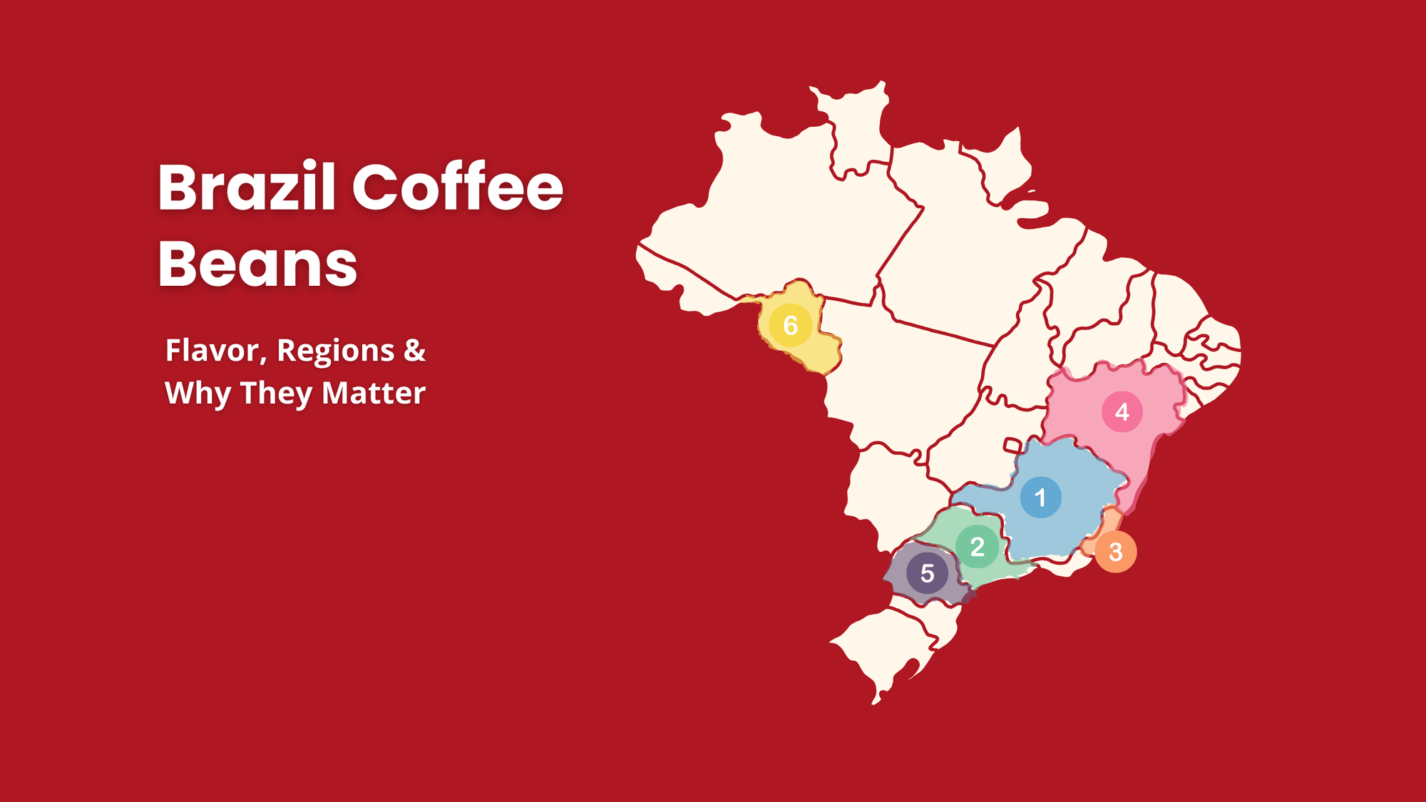 Brazil coffee regions map showing Minas Gerais, São Paulo, Espírito Santo, Bahia, Paraná, and Rondônia. Highlights flavor profiles, elevations, and why Brazil is the world’s top coffee producer.