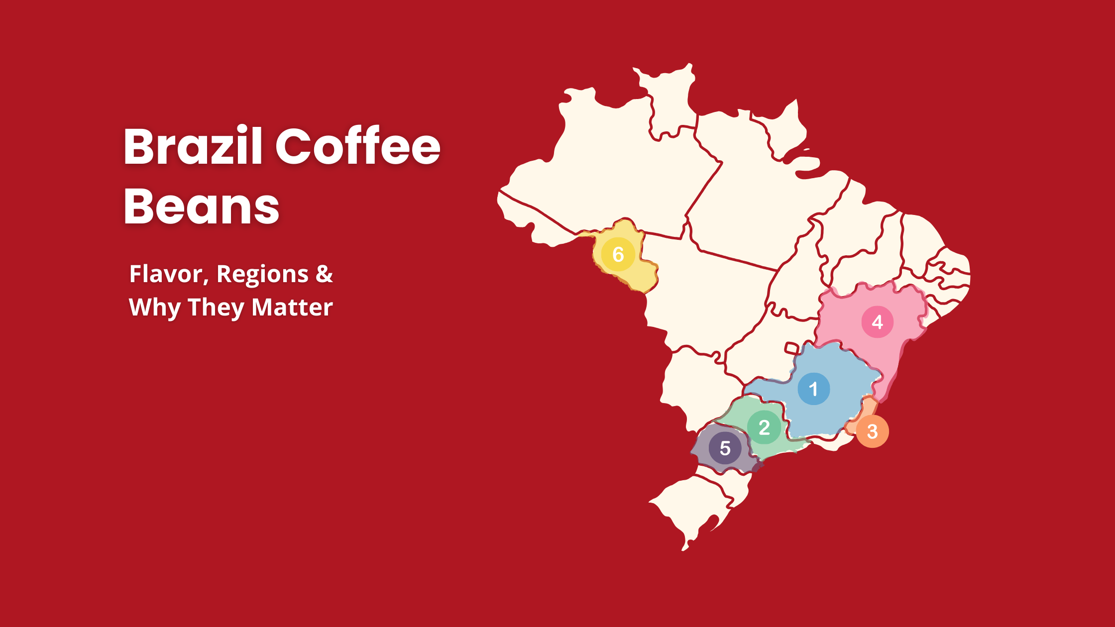 Brazil coffee regions map showing Minas Gerais, São Paulo, Espírito Santo, Bahia, Paraná, and Rondônia. Highlights flavor profiles, elevations, and why Brazil is the world’s top coffee producer.