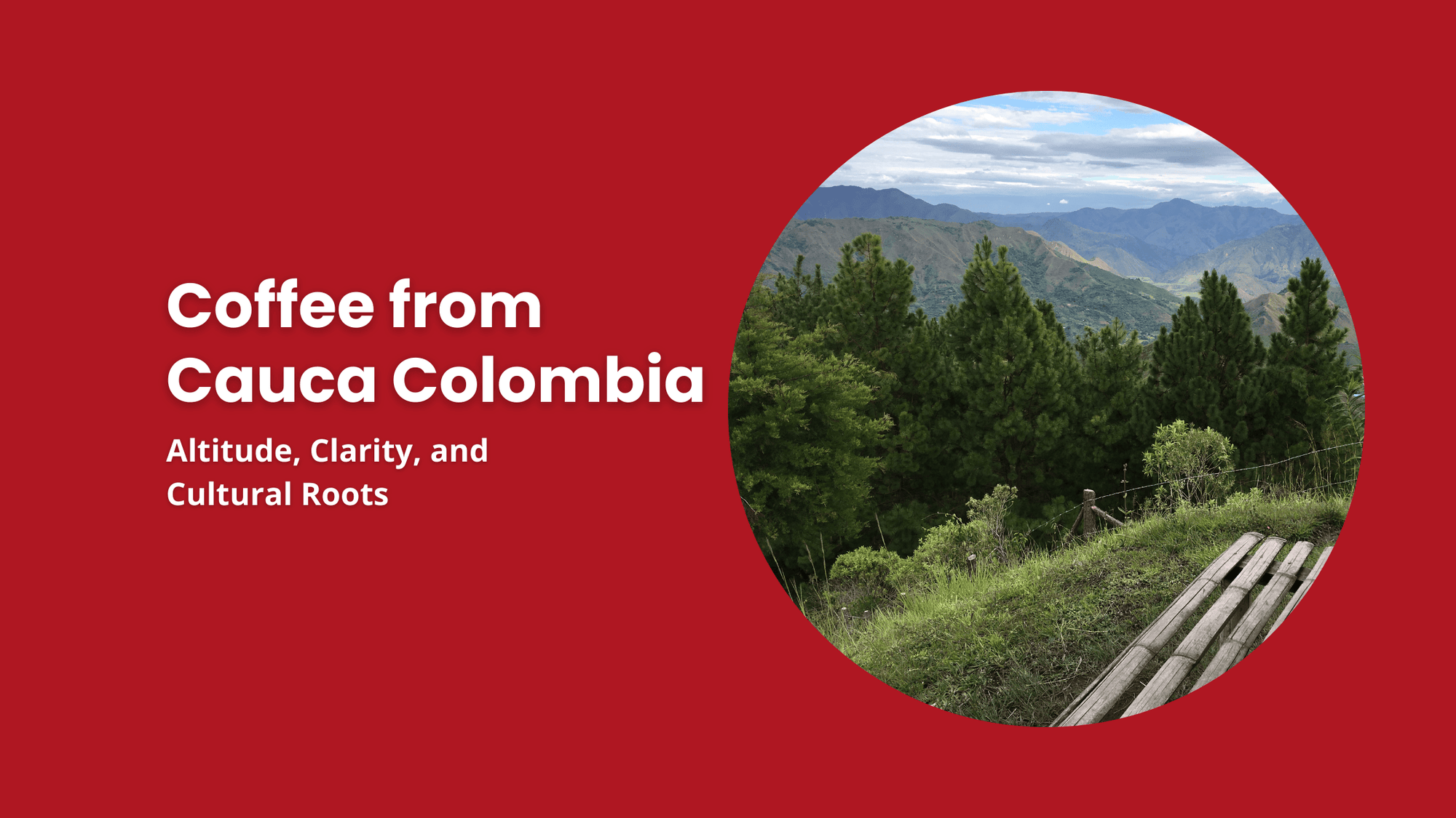Andean mountain landscape in Cauca, Colombia’s high-altitude coffee region