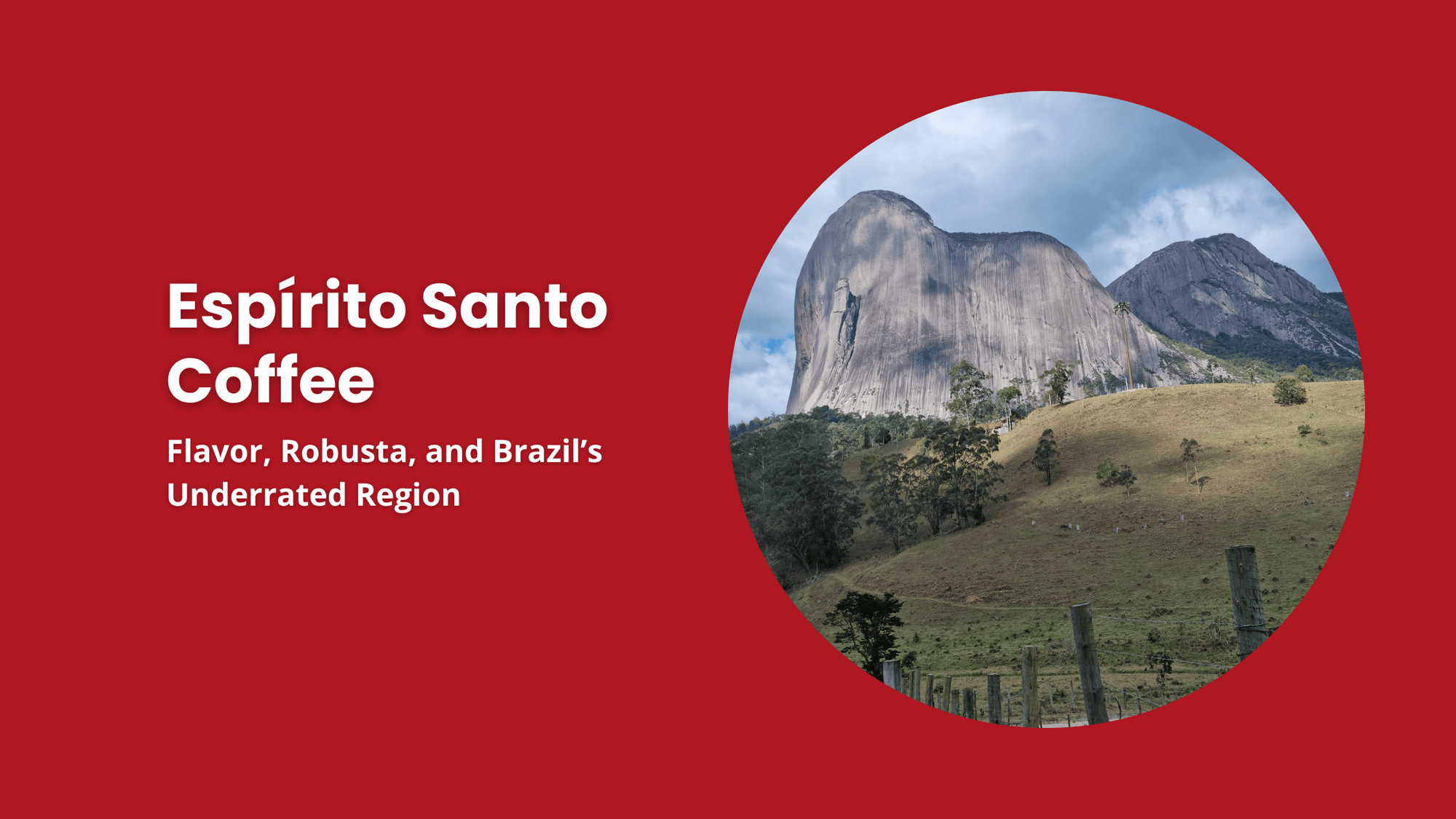 Espirito Santo coffee region Brazil mountainous landscape Robusta coffee growing area