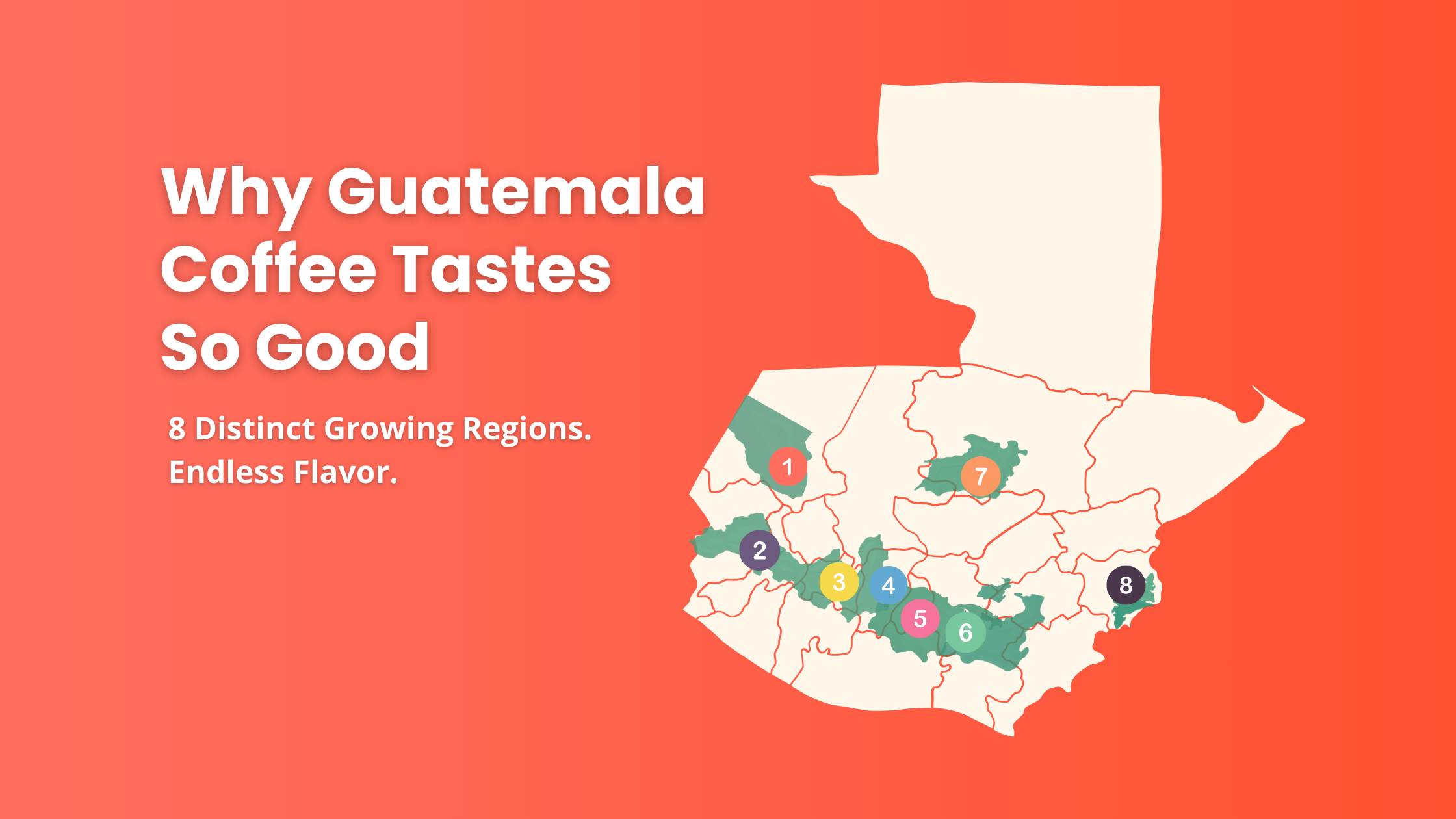 Map of Guatemala showing 8 major coffee-growing regions, with text that reads: ‘Why Guatemala Coffee Tastes So Good – 8 Distinct Growing Regions. Endless Flavor.