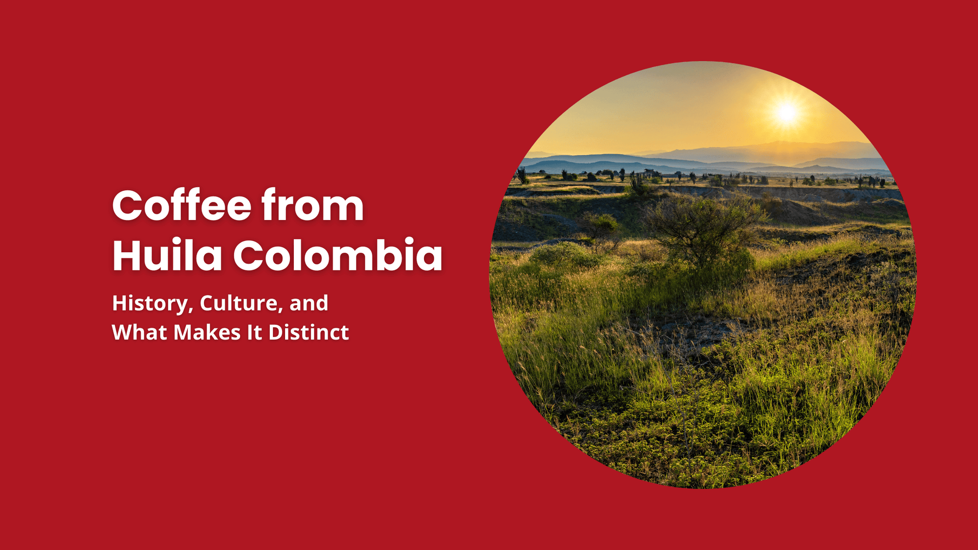 Sunrise over the coffee-growing hills of Huila, Colombia