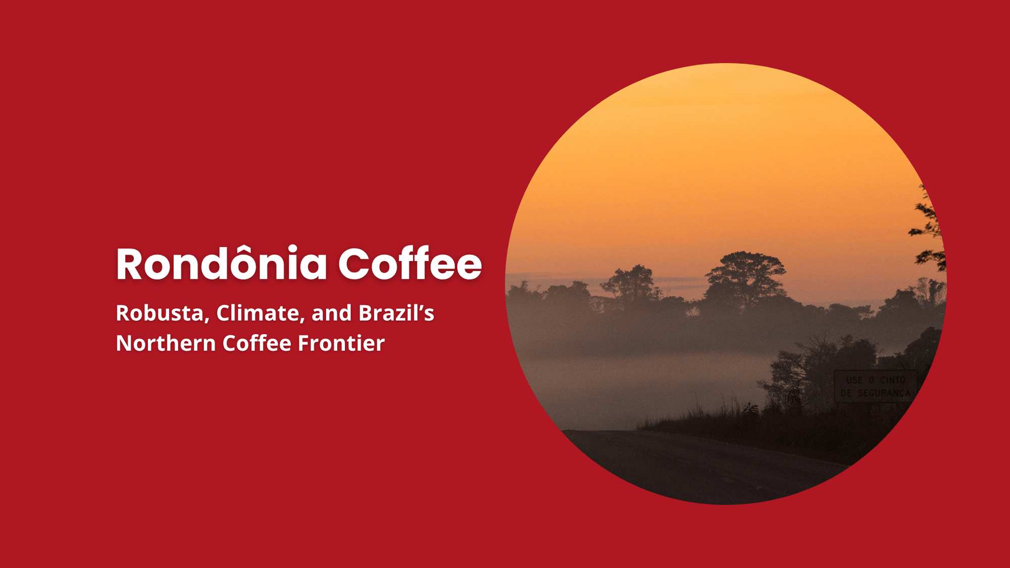 Rondonia coffee region Brazil Amazon landscape Robusta coffee growing region