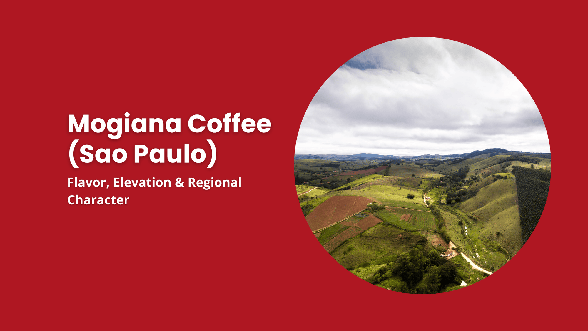 Mogiana coffee region Sao Paulo Brazil rolling hills farmland coffee growing landscape