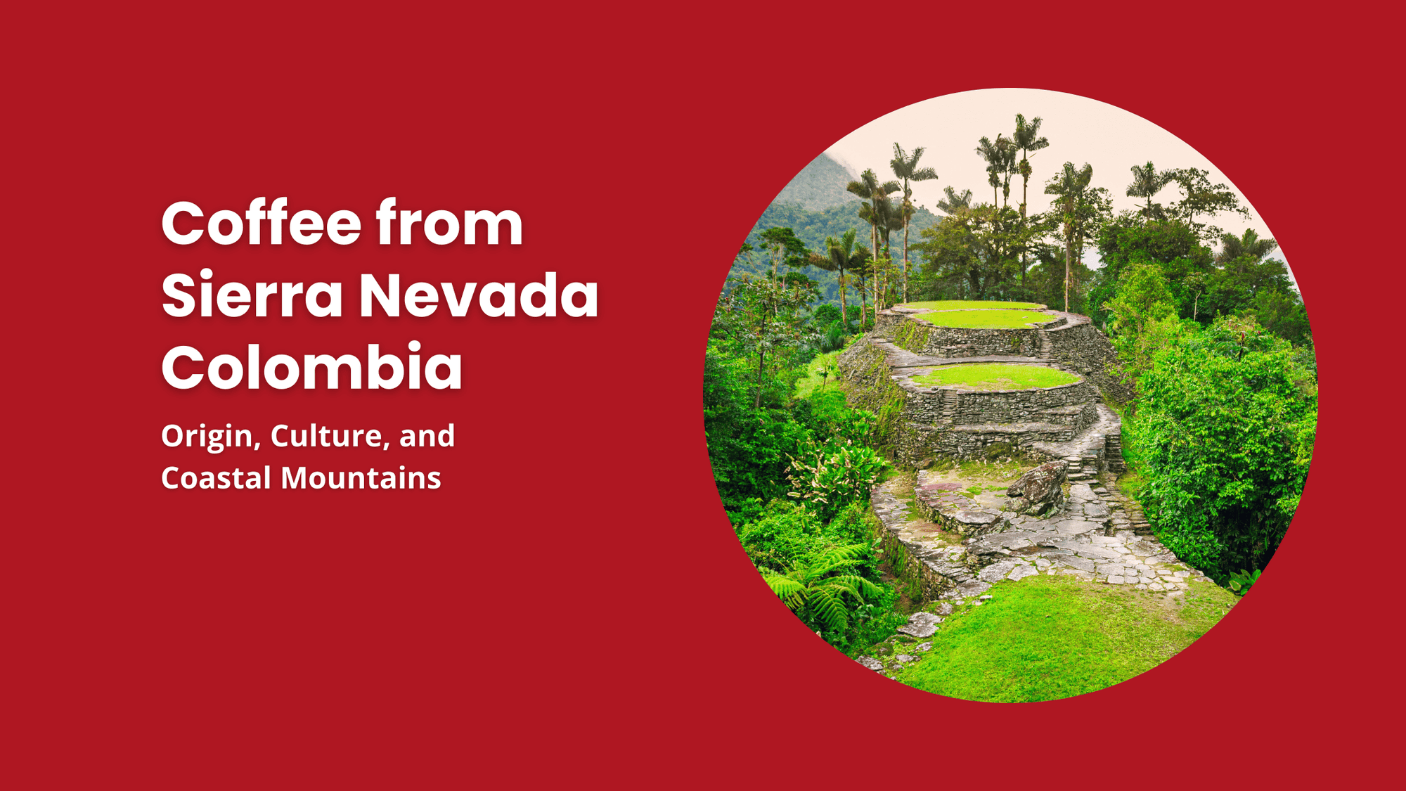 Stone terraces in Colombia’s Sierra Nevada mountains, a coastal coffee-growing region