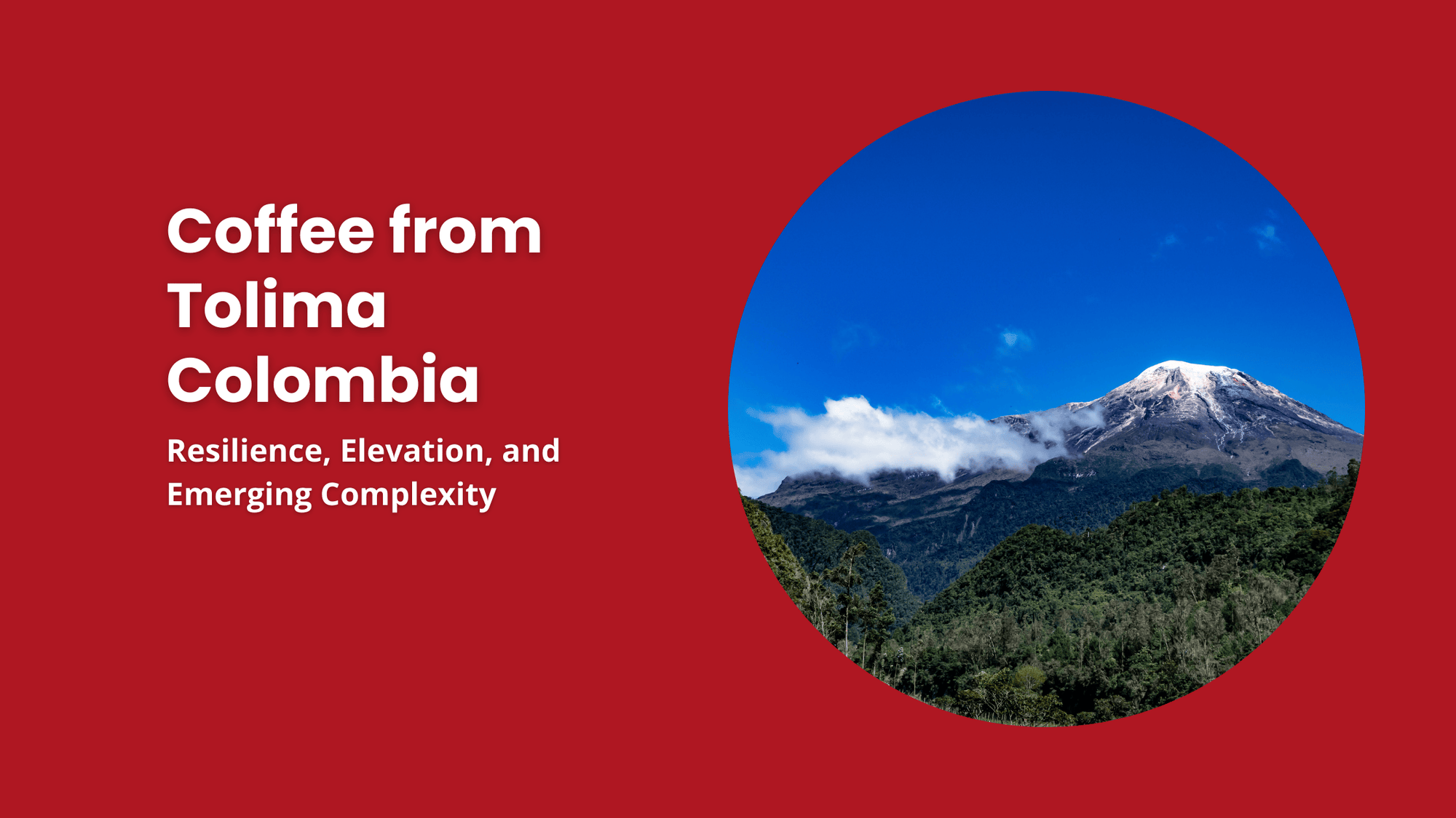 Andean mountain landscape in Tolima, Colombia’s high-elevation coffee region