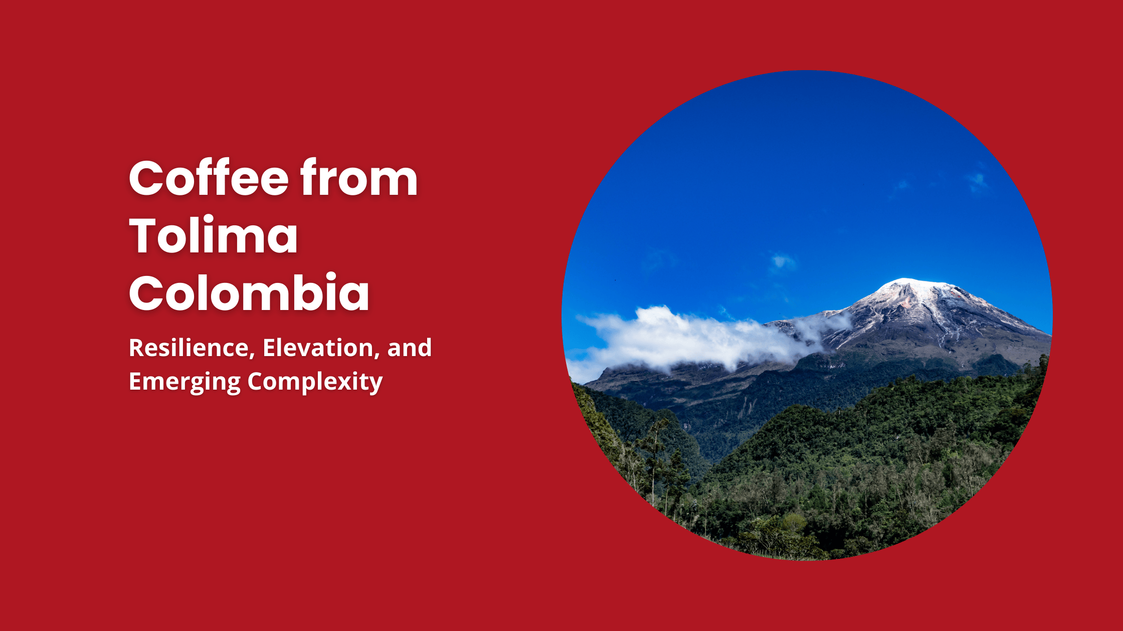 Andean mountain landscape in Tolima, Colombia’s high-elevation coffee region
