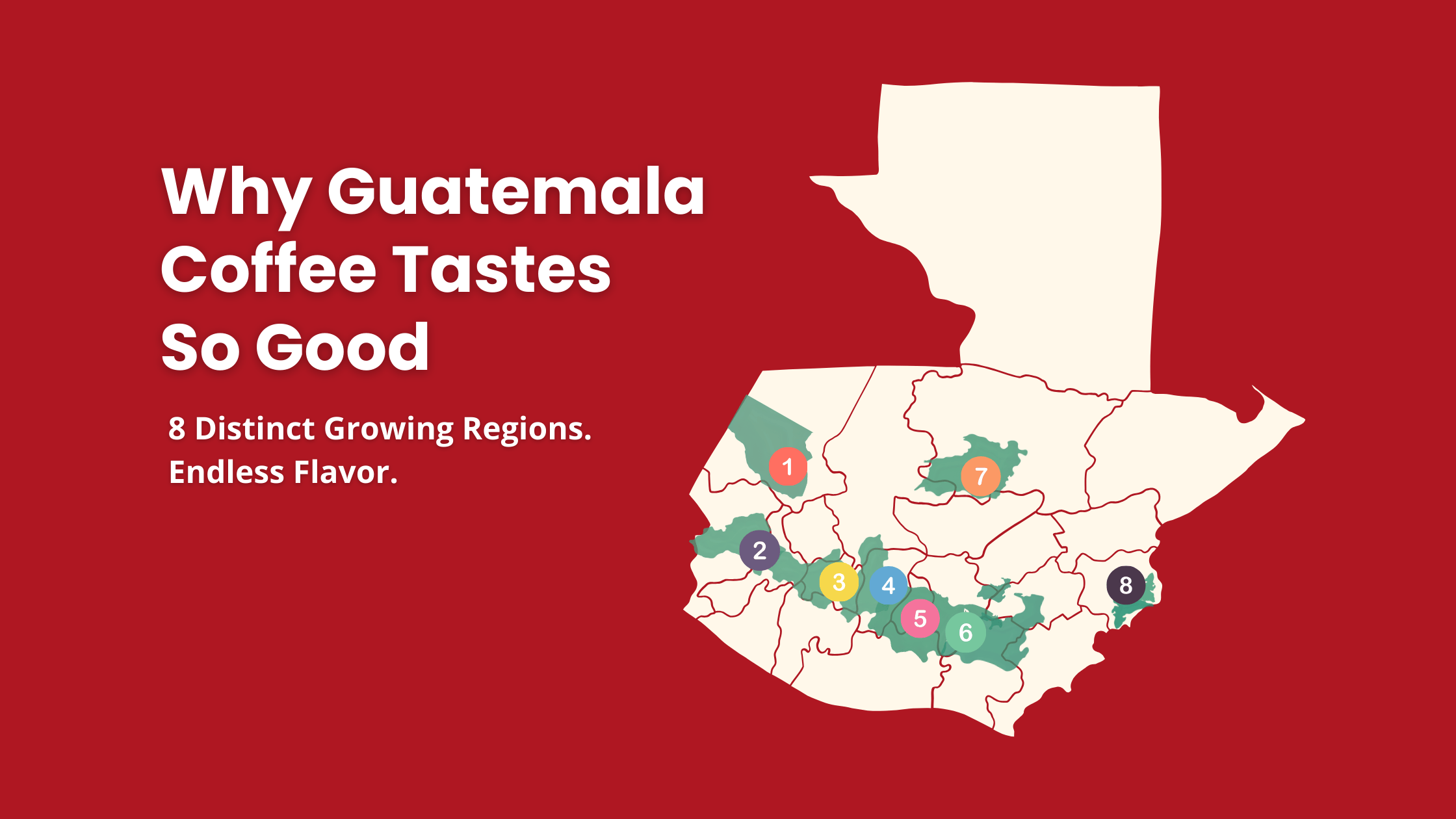 Map of Guatemala showing 8 major coffee-growing regions, with text that reads: ‘Why Guatemala Coffee Tastes So Good – 8 Distinct Growing Regions. Endless Flavor.