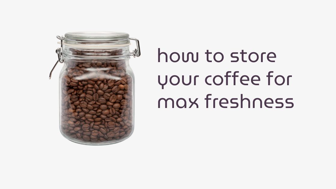 Airtight container of whole bean coffee stored in a cool, dark pantry for maximum freshness