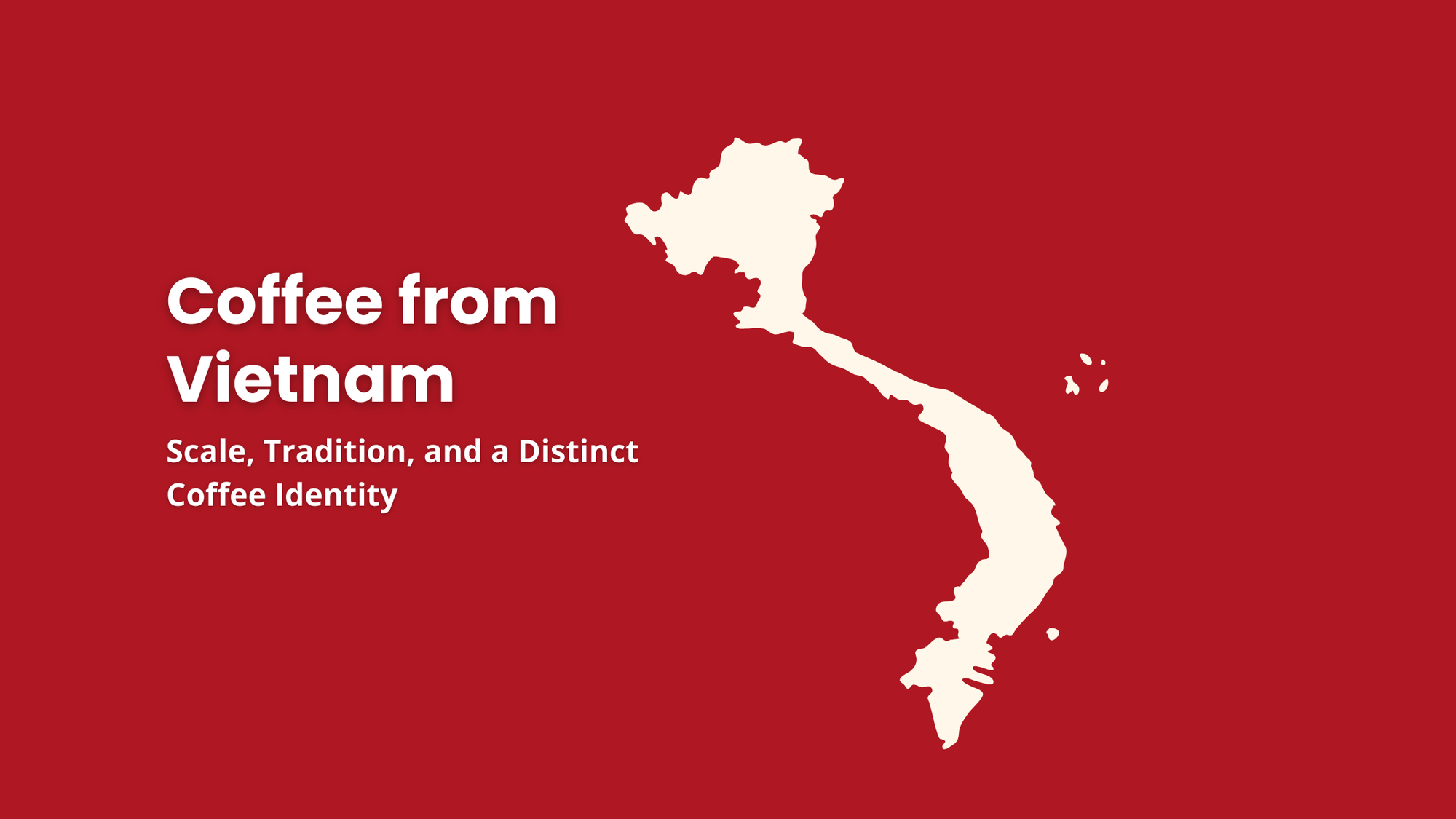 Vietnam coffee origins shaped by scale, tradition, and distinctive regional growing conditions