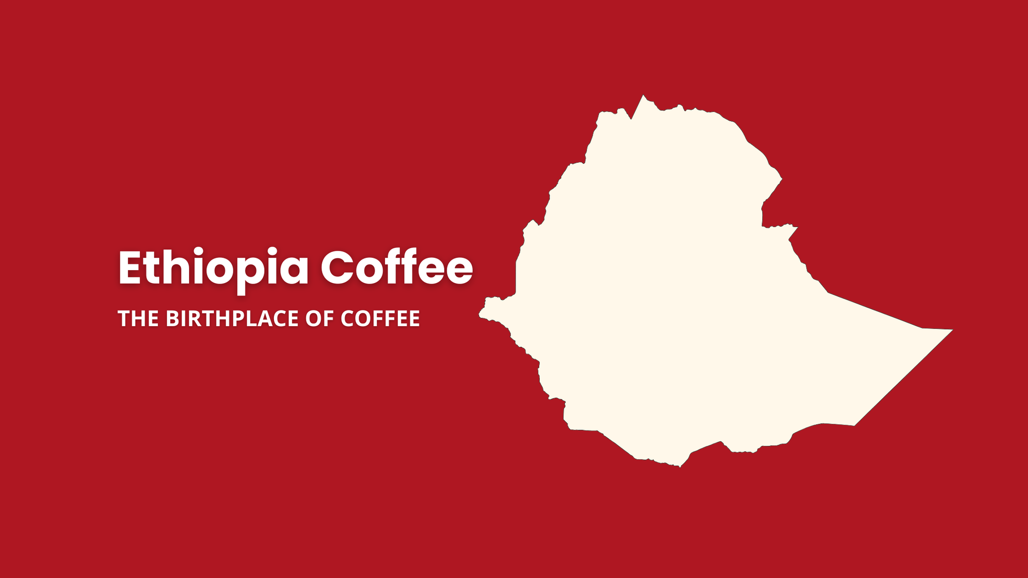 Ethiopia, the birthplace of coffee and home of Arabica coffee origins