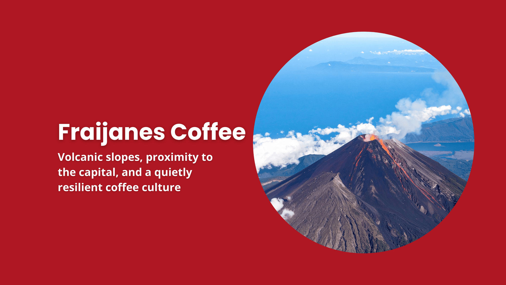 Fraijanes coffee region in Guatemala highlighting volcanic terrain, proximity to Guatemala City, and the everyday communities shaping its resilient coffee culture.