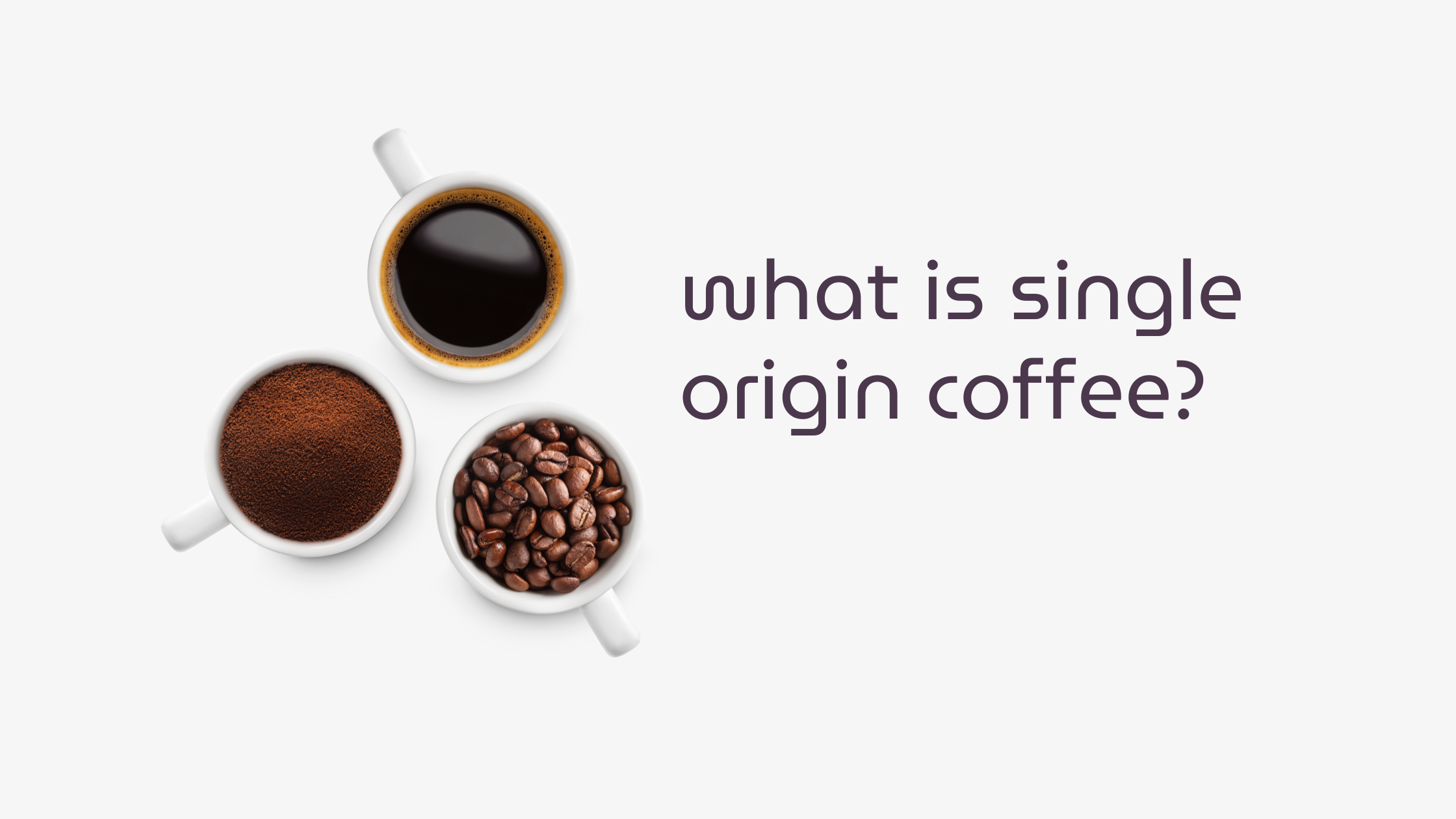 Three white coffee cups displaying whole beans, ground coffee, and brewed coffee arranged in a triangle, alongside the title “What Is Single Origin Coffee?" — representing the journey from bean to brew in single origin coffee.