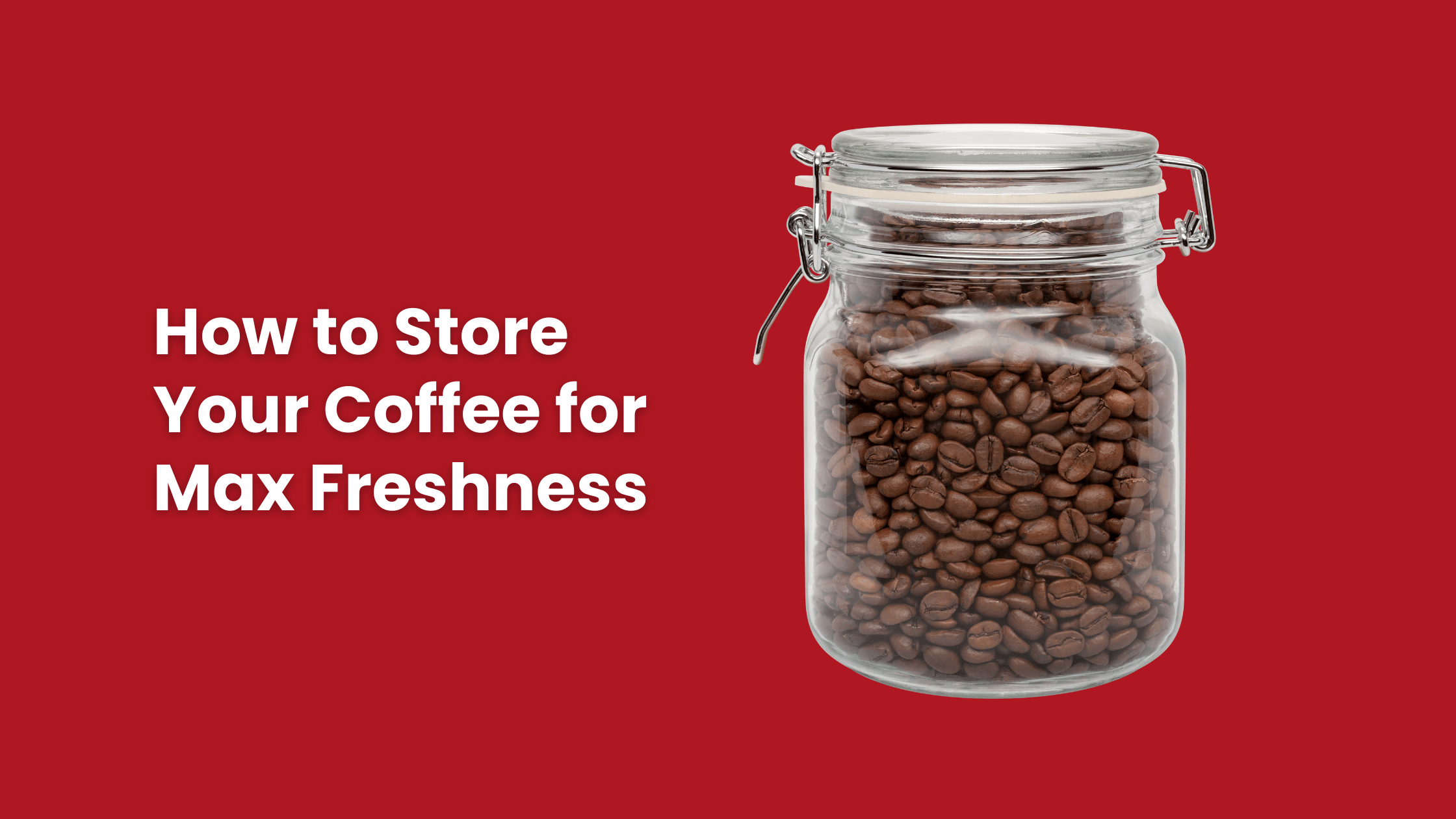 a guide to how to store your coffee for max freshness