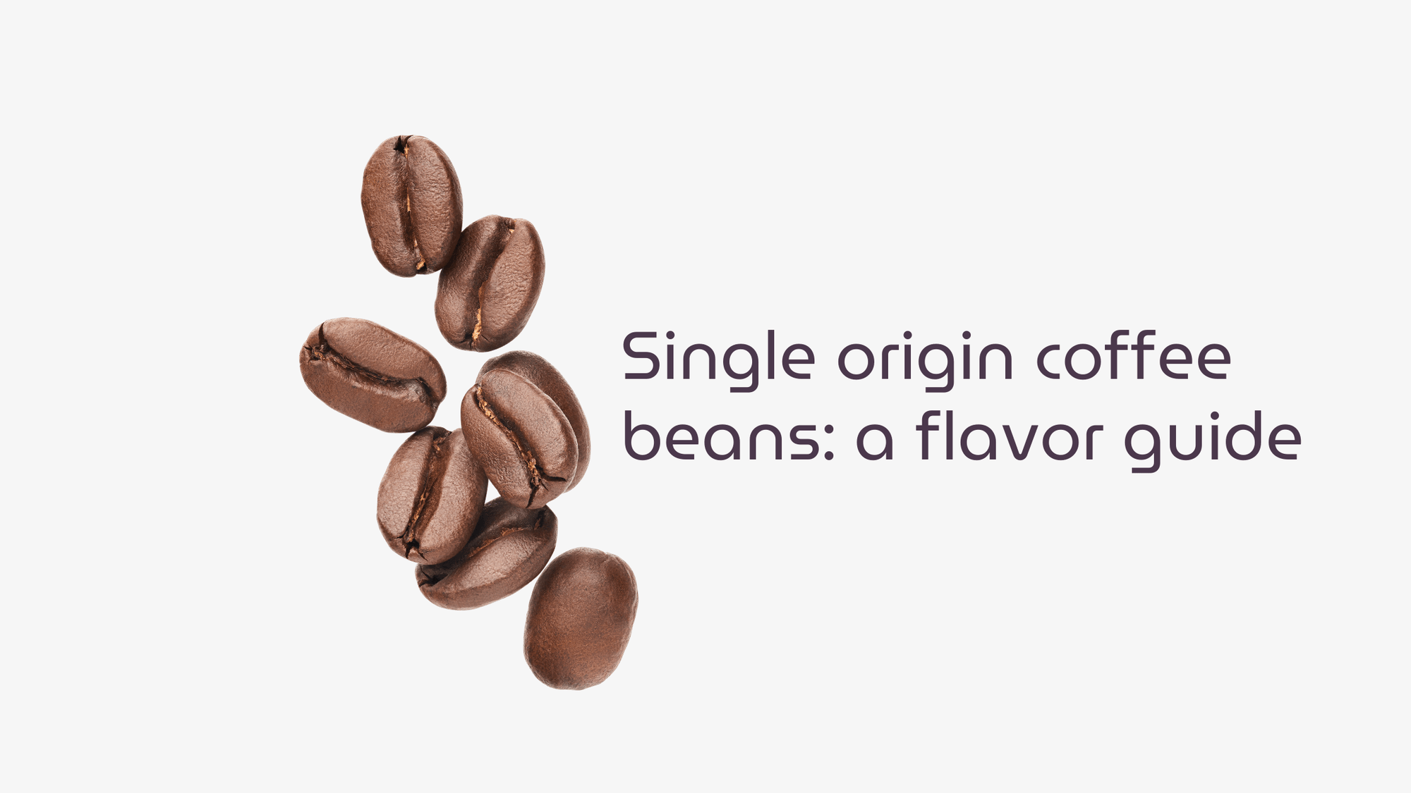 Roasted coffee beans scattered next to the text "Single origin coffee beans: a flavor guide" on a light background