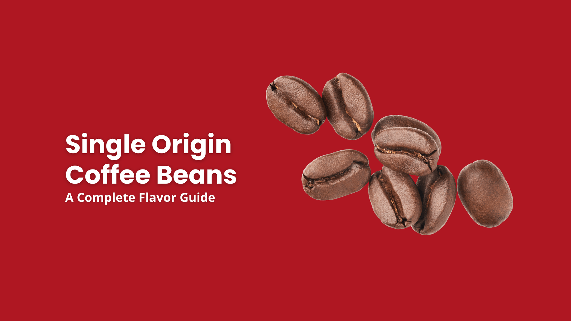 a complete flavor guide to single origin coffee beans