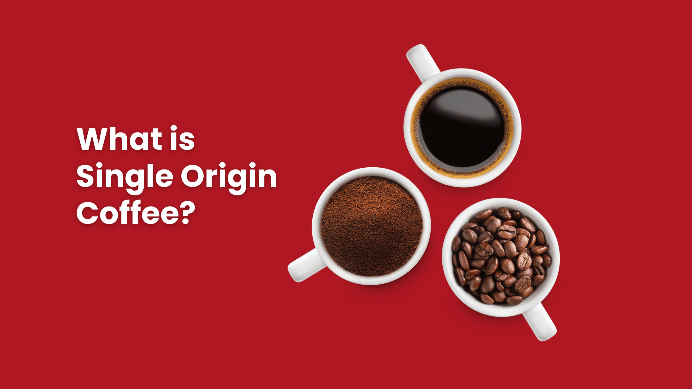 what is single origin coffee? a complete breakdown
