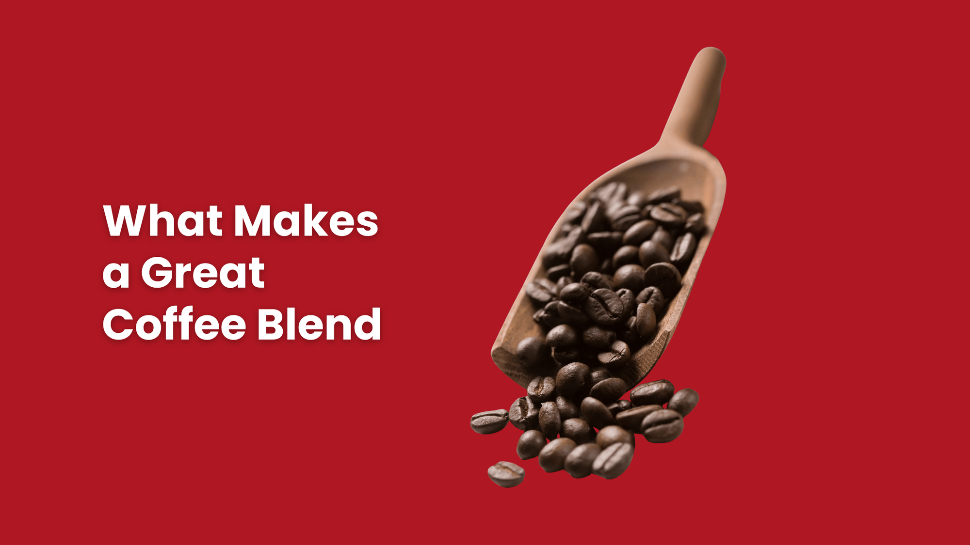 what makes a great coffee blend? image of signature coffee blend beans