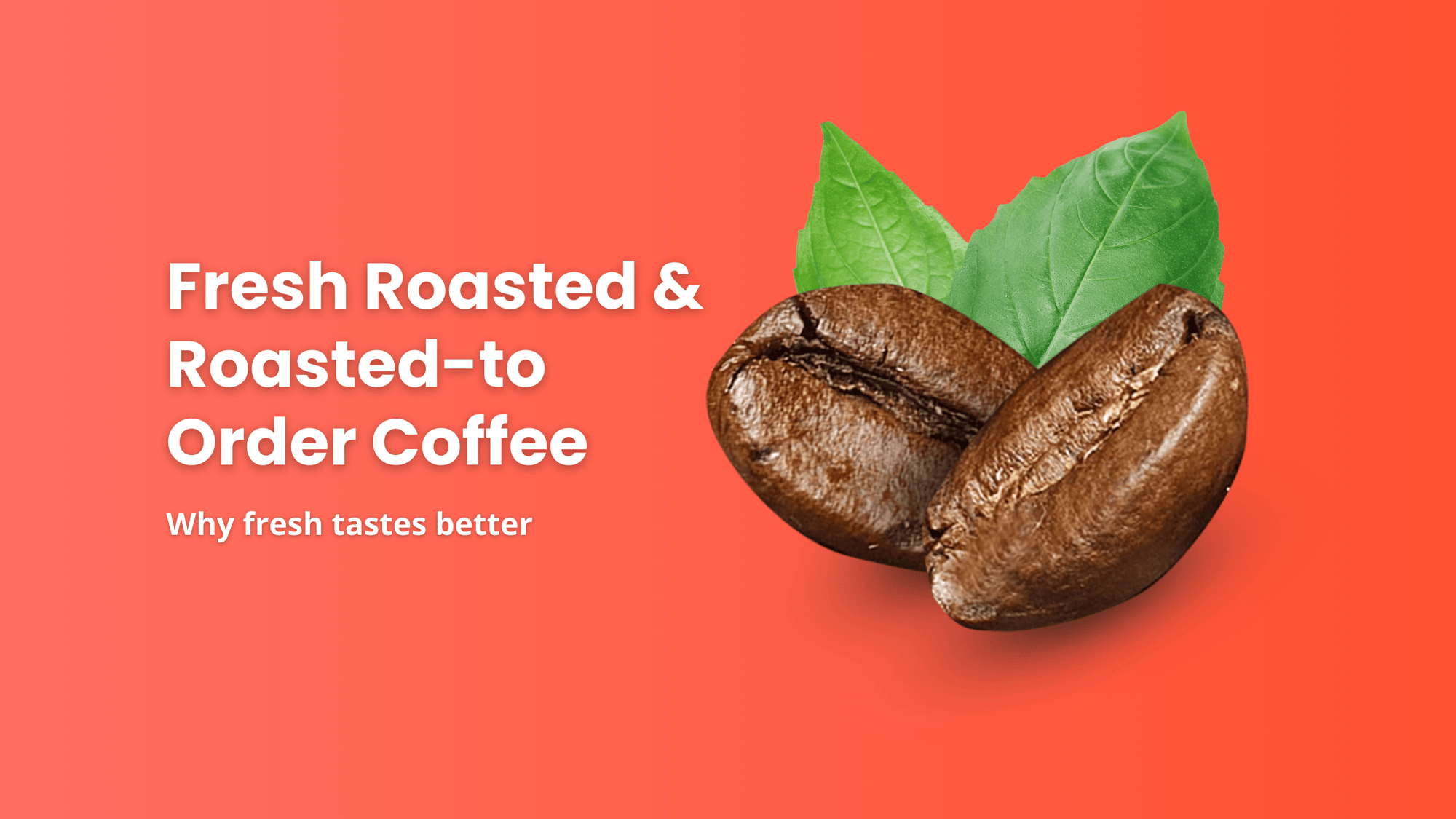 Fresh roasted and roasted-to-order coffee beans with leaves on vibrant background – why fresh coffee tastes better