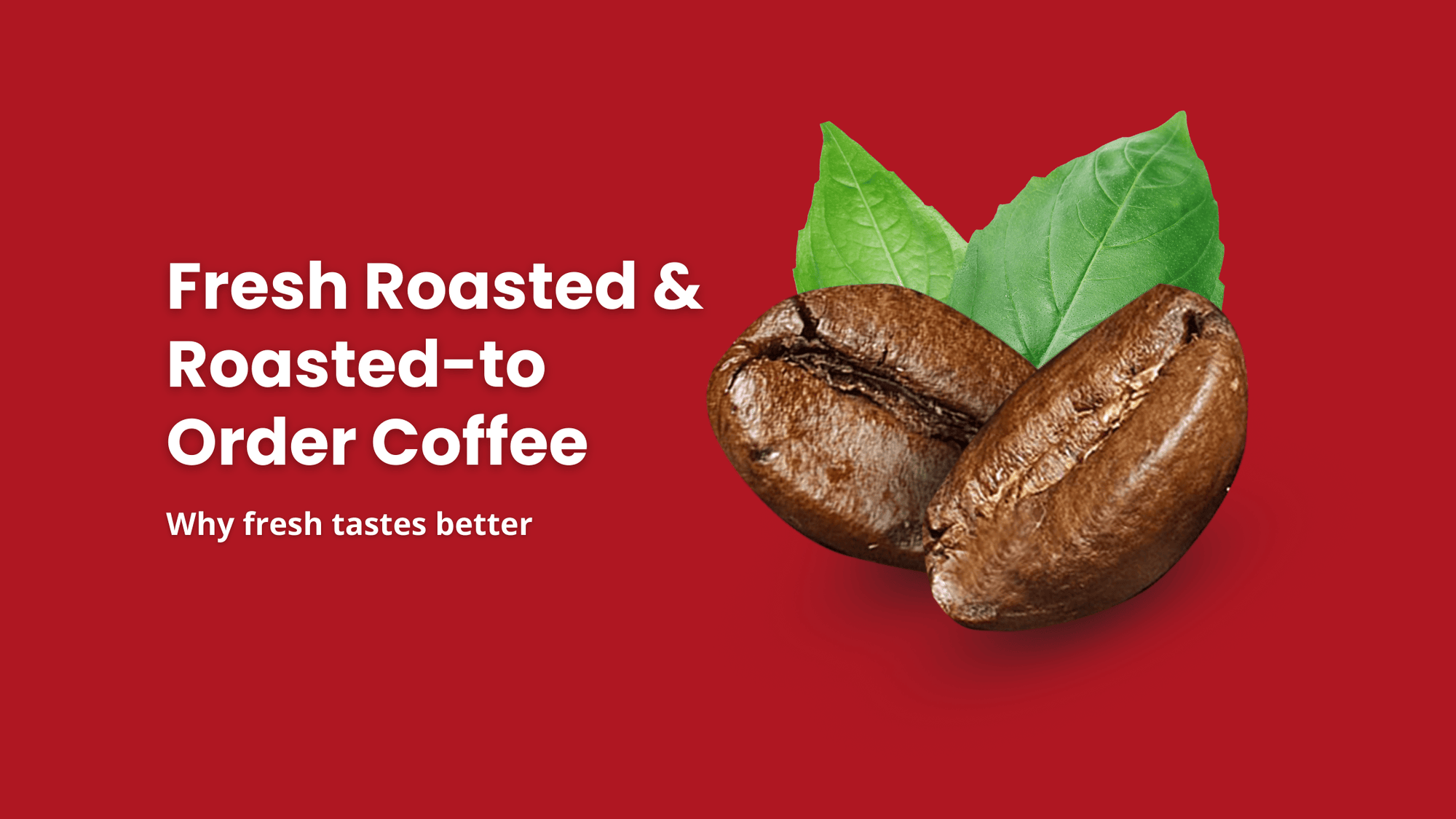 Fresh roasted and roasted-to-order coffee beans with leaves on vibrant background – why fresh coffee tastes better