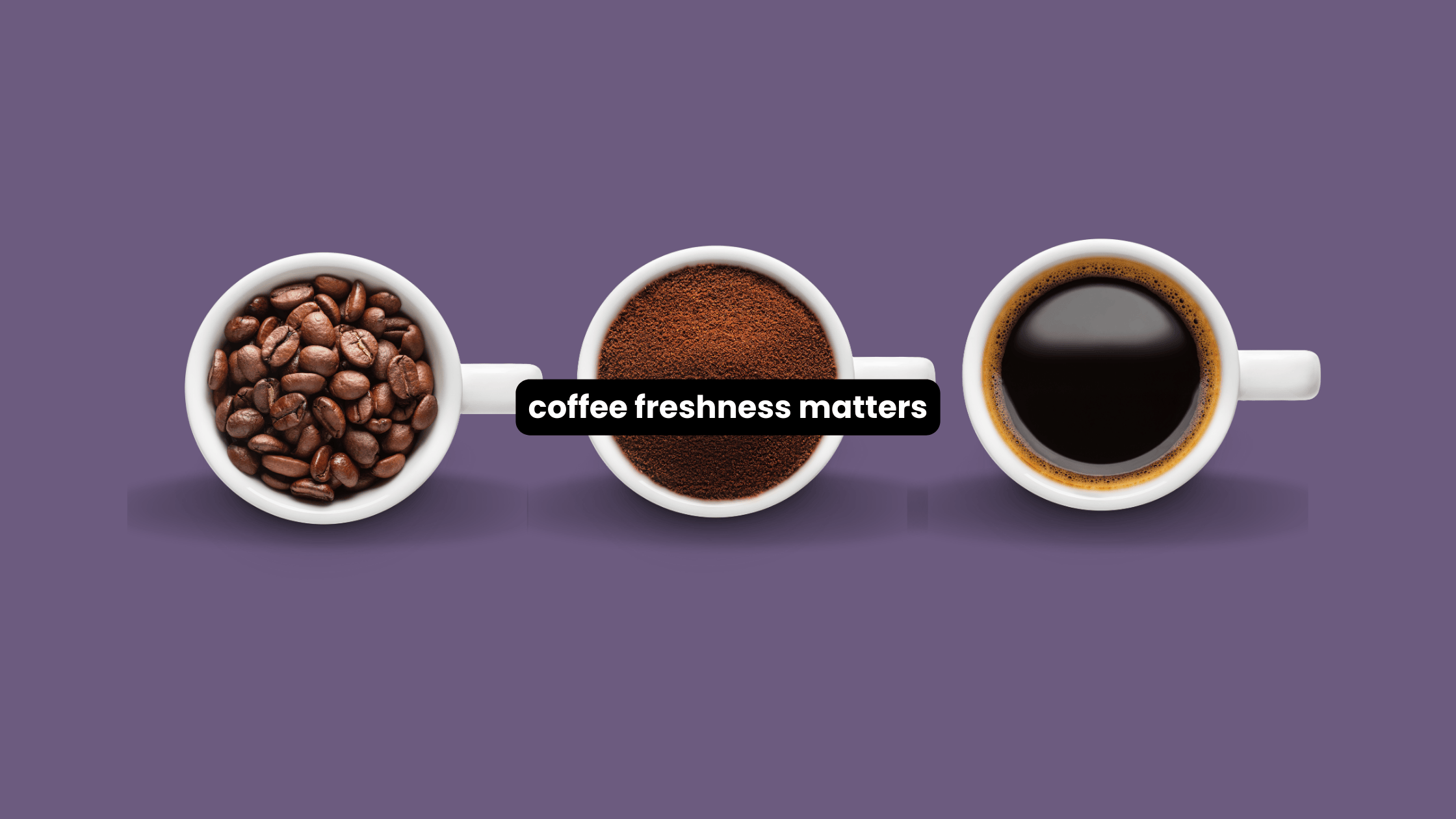 Three white cups showing whole bean, ground, and brewed coffee on a purple background — illustrating the importance of coffee freshness