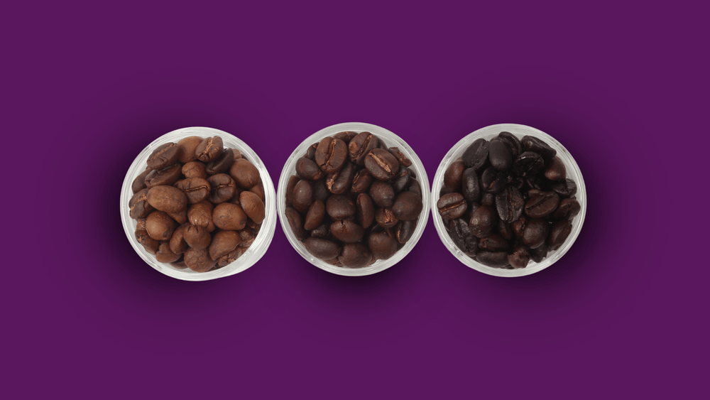 Coffee roast levels comparison showing light, medium, and dark roast beans