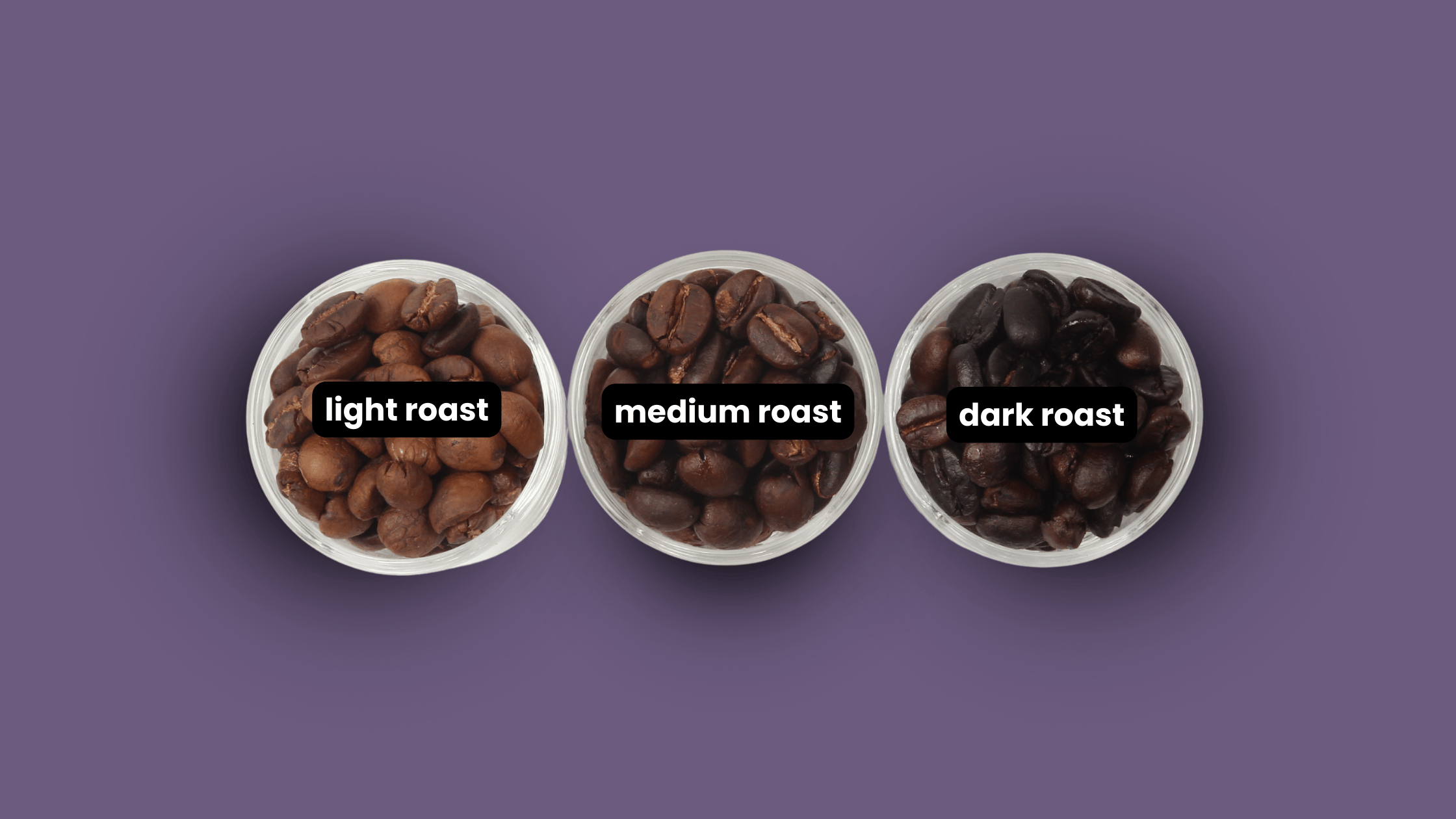 Three clear bowls showing light roast, medium roast, and dark roast coffee beans on a purple background.