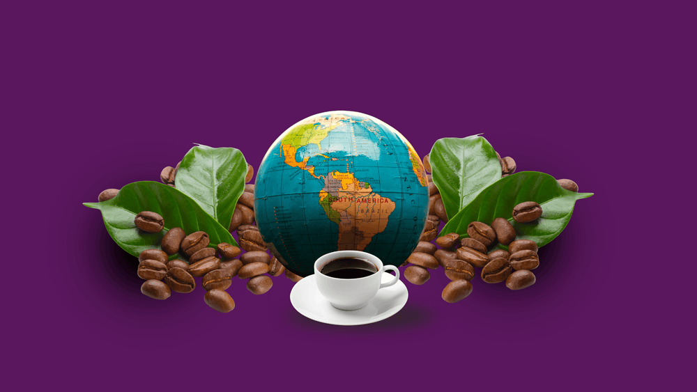 Single origin coffee guide hero image featuring globe centered on South America surrounded by coffee beans, green leaves, and a cup of black coffee on a purple background