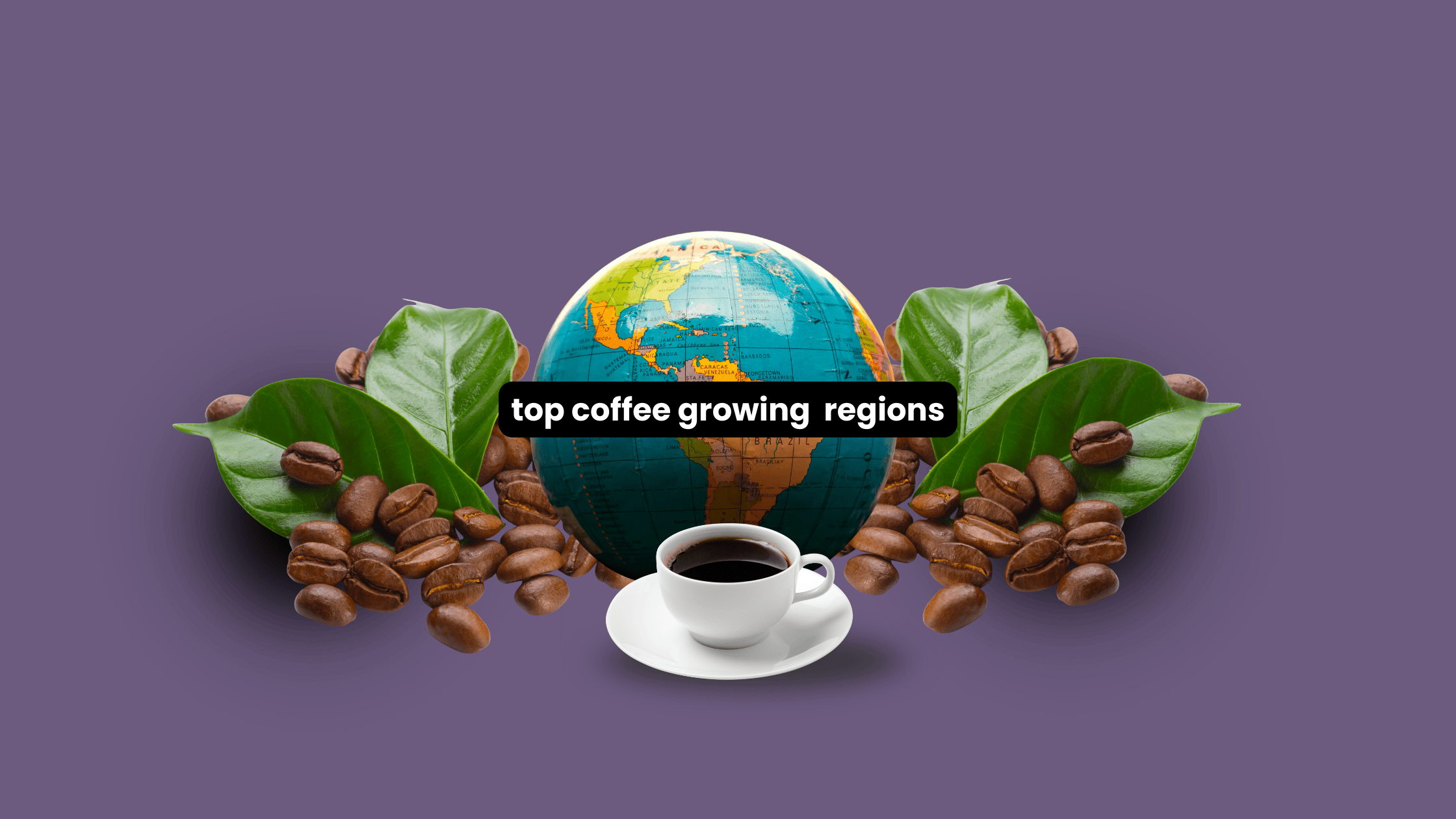 Illustration of top coffee growing regions featuring a globe, coffee beans, leaves, and a steaming cup of coffee